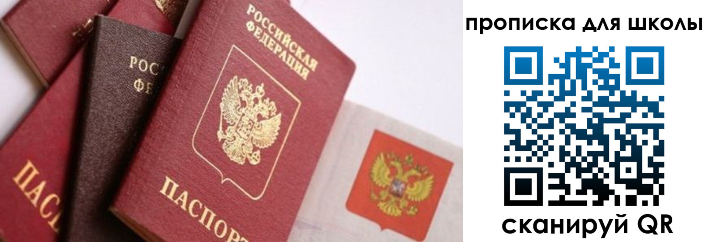 прописка поиск в Тайшете